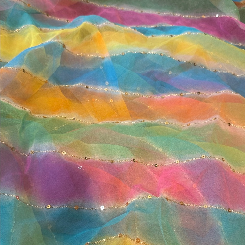 Colorful Sequin saree